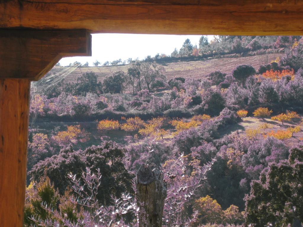 Apartamentos Rurales Candela Cañamero Cameră foto